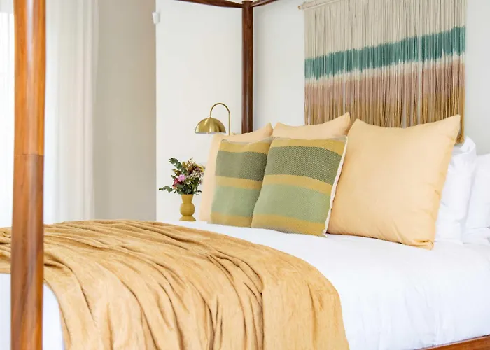 Indigo Coastal -- 2 -- 6br Private -- Pool Jungle Blue Zone Living Playa Guiones